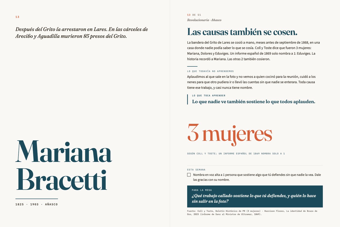 Doble página de Mariana Bracetti: «Las causas también se cosen»
